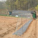 지인농장 이미지