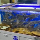 키다리횟집 이미지