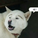 라인인테리어 이미지