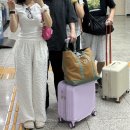 동두천역 | [동두천] 아낌없이 주는나무 글램핑 서울 근교 글램핑 추천 내돈내산