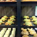 거북이가든 이미지