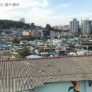 글로벌 송림 이미지