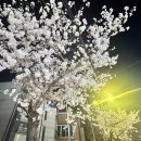 대신로지스틱스(주) | 쿠팡 알바 급여 입금 언제?｜직장인 N잡러 로지스틱스 후기