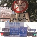 삼거리표지판 Daum카페