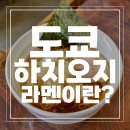 도쿄라멘 :: 독자적인 쇼유라멘 하치오지 라멘의 역사