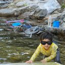 구름아래 캠핑장 | [공지] 청도 구름 아래 캠핑장 후기 | 숲속 계곡 오토캠핑 명소