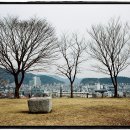 여의와 황세의 사랑 이야기가 전해오는 김해 봉황동 유적 [김해 패총/봉황대 유적]