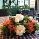 비맨션(B.Mansion) 이미지