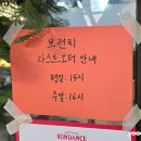 [창원 가로수길/썬댄스] 분위기 좋은 브런치카페 내돈내산 리뷰! 용호동 카페 추천