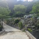 금강송계곡민박 이미지