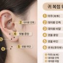 대한문신사중앙회평생교육원수원지부 | 수원미인점, 귀 복점 진짜점처럼!! 안전하게 받는방법! 엠비(의료인+ 뷰티인)뷰티 알고계시죠?