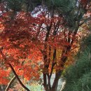 윤선정보기술 | [공지] 농정원에서 AI 미래를 보다! 드디어 시작된 AI그린대로 포털시스템 구축 위한 사전용역 품평회...