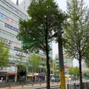 수내과의원 | 노원구 투석실 투석병원 후기 보호자 입장에서 솔직하게 남겨요