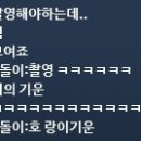 이펙트우노 이미지