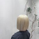 데일리수 이미지