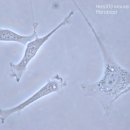 스킨미래 이미지