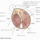 삼성메디이비인후과의원 이미지
