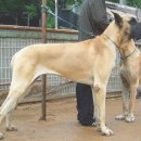 수정농장 이미지