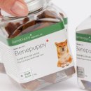 디어퍼피 이미지