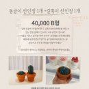 샤인플랜트