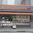 브레드홍 이미지