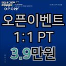 피티투그로우 PT 이미지