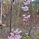 경주 단석산(827m) 신선사 마애불상군 32년만의 해후~... 이미지