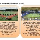 리틀덕수 이미지