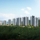 씨엘포레자이 이미지