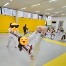 비전 태권도장 이미지