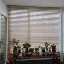 홍성커튼 이미지