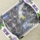 허허포도농원
