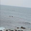 일오삼 목장 이미지