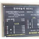 장어야 놀자 이미지