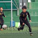 인천부평초 이미지