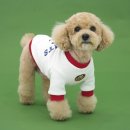 스누피 애견 이미지