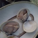 금복 펜션 이미지