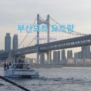 요트랑 | 부산요트투어 요트랑 광안대교 요트투어 후기