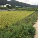 건천2천 이미지