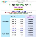 부산리무진투어 Daum카페