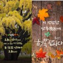 겸손의 미덕 이미지