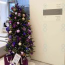 자연미한뱡병원 | 가슴수술후기, 만족도를 높이는 기준은 무엇일까?