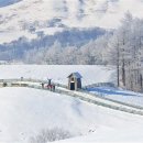 은상목장 이미지