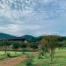 작금민박 이미지