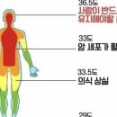 목에 있는 림프절이 막혔을 때 그 곳을 손대지 않고 율려골반교정으로 다스리는 방법 이미지