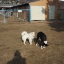 도기헤븐 이미지