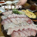 명지대역 | [용인/역북동] 대방어 우럭 맛집 “역북동물고기” 명지대역 횟집 내돈내산 솔직후기