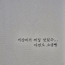 자연도소금빵in성수 - 성동구 성수동2가 | 자연도소금빵in성수
