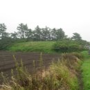 제주 모슬포 알뜨르 비행장 일제 지하벙커 이미지