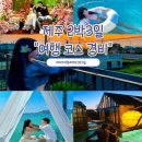 삼광카서비스 | 제주 2박 3일 여행 코스 경비 제주도 서쪽 숙소 맛집 총정리